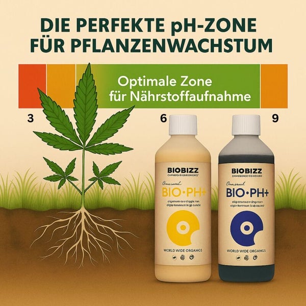 Biobizz Infografik zum optimalen pH-Wert für Pflanzenwachstum und Nährstoffaufnahme mit Bio PH Minus und Bio PH Plus.