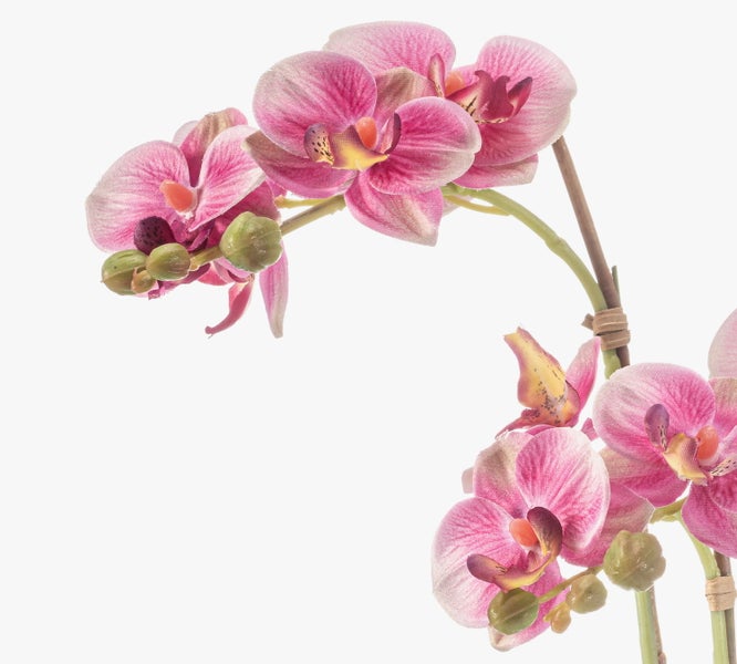 Künstliche Orchidee in einem grauen glänzenden Keramiktopf mit passendem Untersetzer und Dekokies.