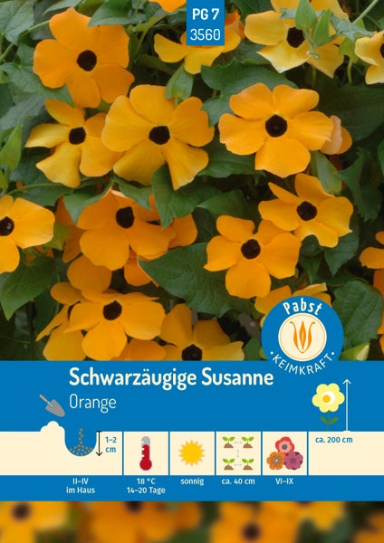 Samentüte Schwarzäugige Susanne Orange. Pflanztiefe 1 bis 2 Zentimeter, Keimung bei 18 Grad Celsius, Wuchshöhe circa 200 Zentimeter. Pabst Logo.