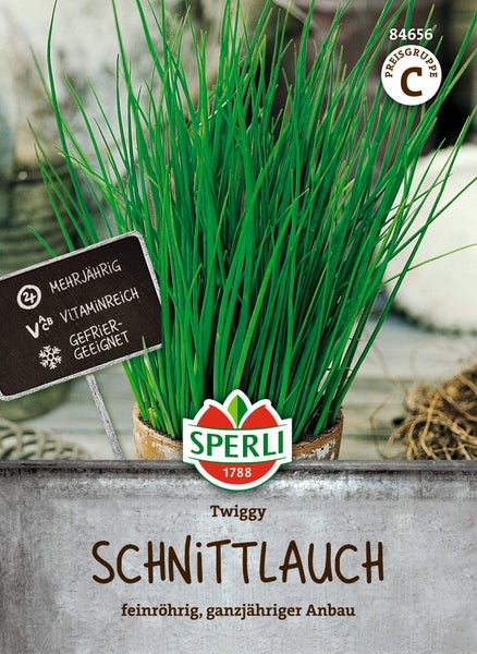 Samenpaket für Schnittlauch der Sorte Twiggy von Sperli, eine mehrjährige, vitaminreiche und gefriergeeignete Pflanze für den ganzjährigen Anbau.