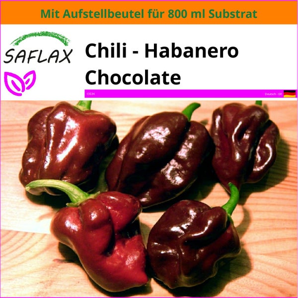 SAFLAX Garden in the bag - Chili - Habanero Chocolate - Capsicum chinense - 10 Samen - Mit Anzuchtsubstrat im praktischen, selbst aufstellenden Beutel