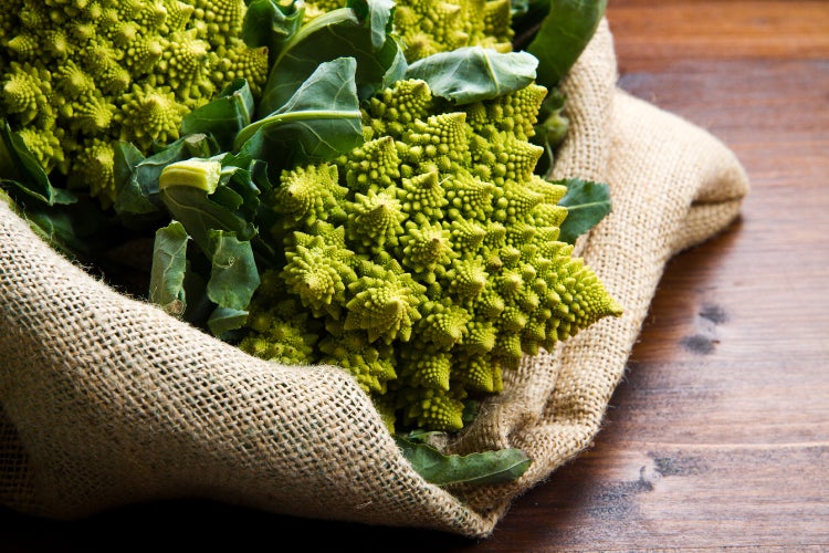 SAFLAX Garden to go - BIO - Blumenkohl - Romanesco - Brassica oleracea var. Botrytis - 50 Samen - Mit Topf, Klima - Deckel und Anzuchtsubstrat