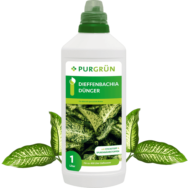 Purgrün Dieffenbachia-Dünger 1 Liter