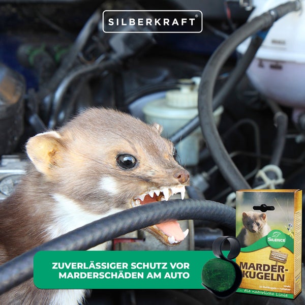 Silence Marder-Duftkugeln zur Marderabwehr im Auto, schützt Motorraum vor Marderschäden an Kabeln, Schläuchen und Dämmung, für PKW, Transporter, inkl. Halter, Langzeitschutz, 2er-Set