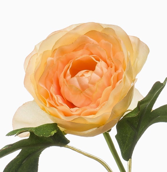 Künstliche Ranunkel Blüte in Pfirsich mit grünen Blättern zur Dekoration.
