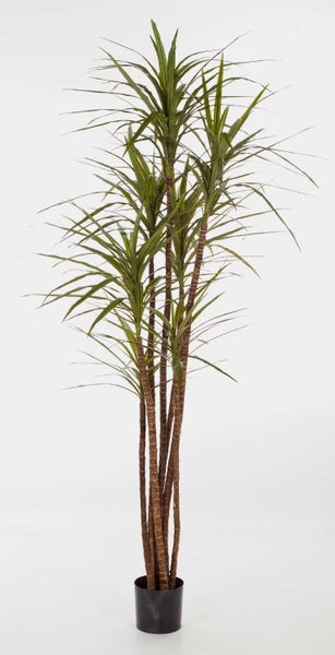 Nahaufnahme der braunen segmentierten Stämme einer Kunstpflanze in einem schwarzen Topf.