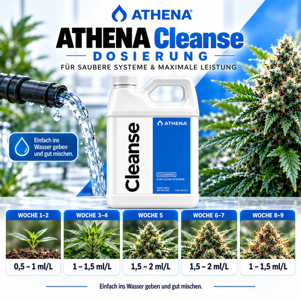 Athena Cleanse Reinigungsmittel für Pflanzensysteme Dosierungstabelle mit Anwendungsanleitung und Dosierungsvorgaben für verschiedene Wachstumsphasen