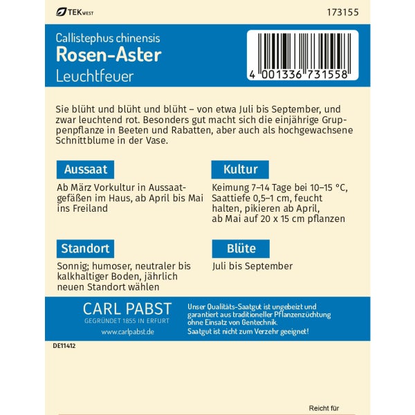 Rosen - Aster Leuchtfeuer Samen von Pabst Keimkraft