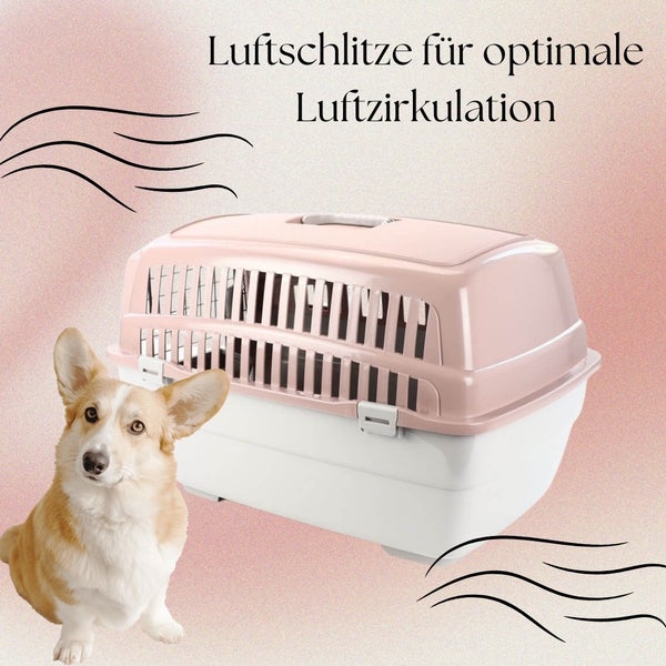 Hund vor einer Transportbox für Haustiere mit Luftschlitzen für optimale Luftzirkulation