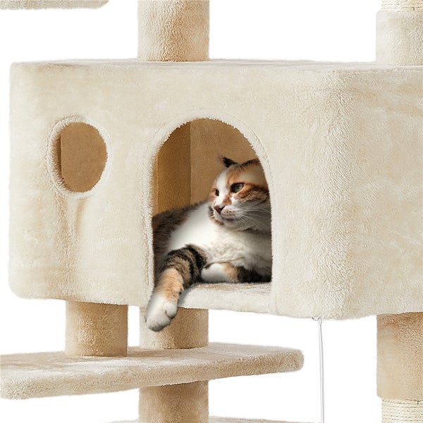 Katze ruht im Katzenbaum mit Kratzstamm