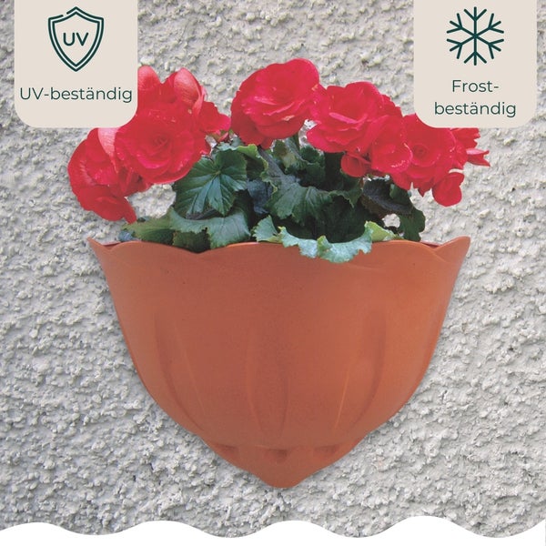 Blumentopf Wand Blumentopf Wandmontage Wandblumentopf Wandvasen für Pflanzen Wandhalterung Wandtopf Wandgefäß