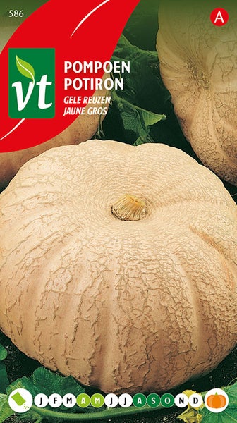 Samenpackung für gelben Riesenkürbis