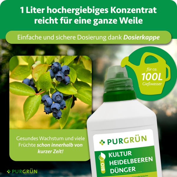 Purgrün Bio Kultur Heidelbeeren Dünger, 1 Liter Konzentrat für circa 100 Liter Gießwasser, inklusive Dosierkappe, für gesundes Wachstum.