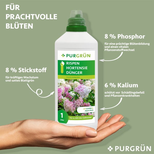 Purgrün Rispenhortensie-Dünger 1 Liter