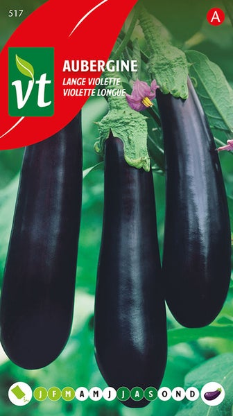 Aubergine Lange Violette Samenpackung