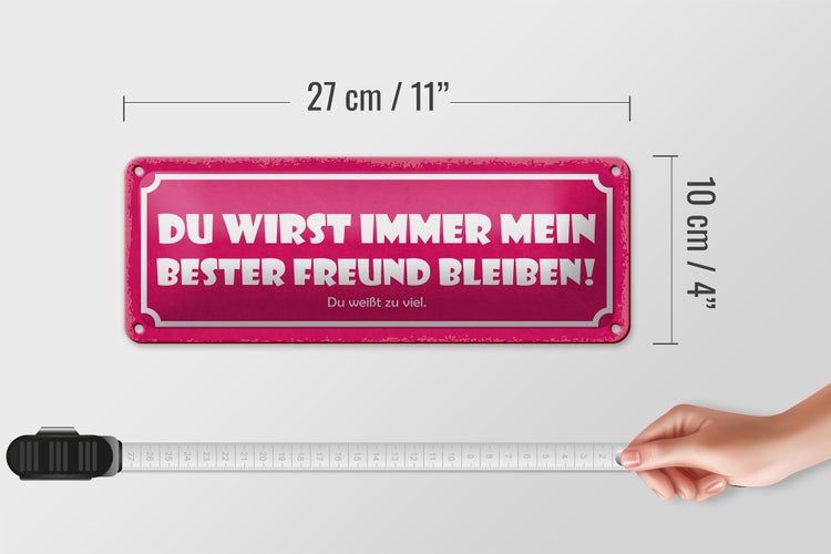 Blechschild Spruch 27x10cm du immer mein bester Freund Dekoration