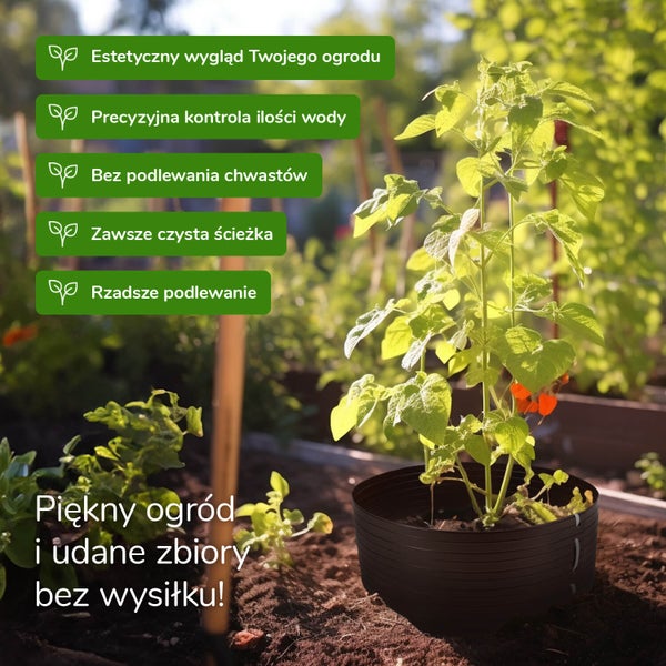 Gartenpflanze in einer Pflanzschale für effiziente Bewässerung, zur Förderung von Wachstum und zur Unkrautbekämpfung im Beet.