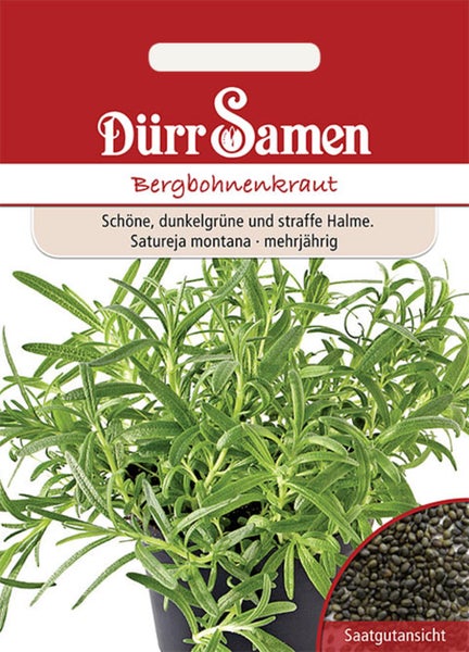Samentüte Dürr Samen Bergbohnenkraut Satureja montana, mehrjähriges Kraut mit dunkelgrünen Halmen und Detailansicht der Samen.