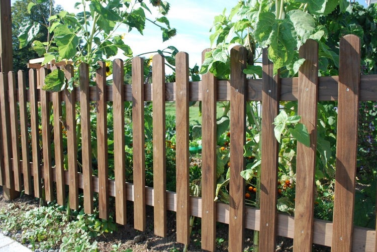 Holzzaun im Garten mit Pflanzen