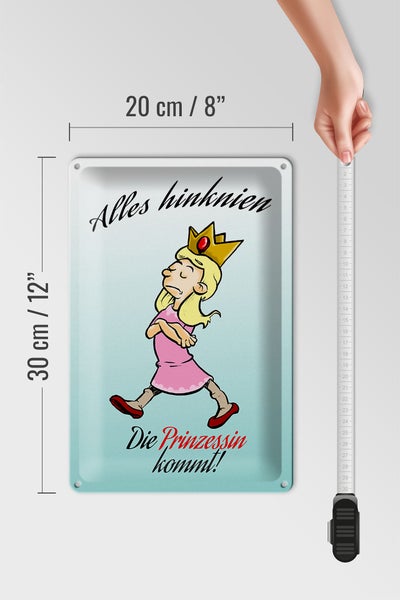 Blechschild Spruch 20x30cm Alles hinknien Prinzessin kommt