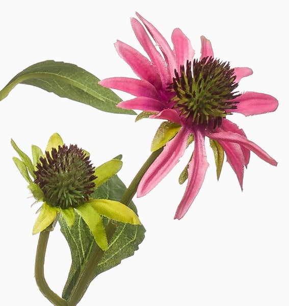 Künstliche Echinacea Sonnenhut mit rosa und grünen Blütenköpfen und grünen Blättern.