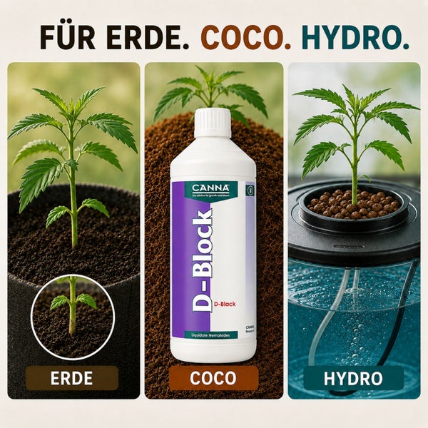 Canna D-Block Pflegemittel für Pflanzen in Erde, Kokossubstrat und Hydrokultursystemen zur Bekämpfung von Nematoden