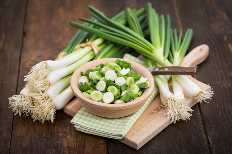 SAFLAX Garden to go - BIO - Frühlingszwiebel - Weißer Lissabonner - Allium cepa - 150 Samen - Mit Topf, Klima - Deckel und Anzuchtsubstrat