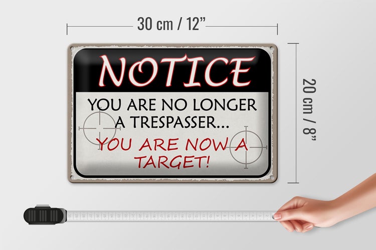 Blechschild Spruch 30x20cm notice you no longer trespasser