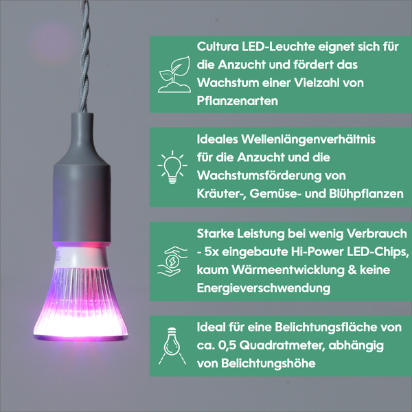 Parus by Venso LED Pflanzenlampe Vollspektrum Cultura LED Lampe E27 6W 60°, Wachstumslampe für Pflanzen wie Kräuter-, Gemüse- und Blühpflanzen, Parus Pflanzenlampe LED Vollspektrum Pflanzenlicht