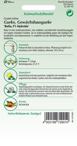 Gurkensamen der Sorte 'Bella, F1-Hybride' für Gewächshausgurken