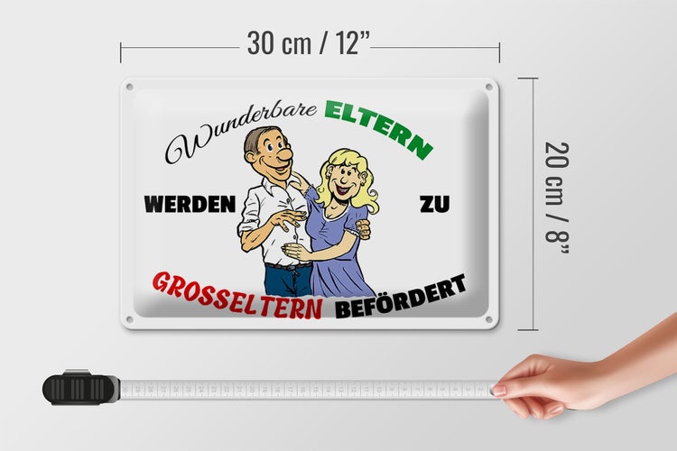 Blechschild Spruch 30x20cm wunderbare Eltern werden Großeltern