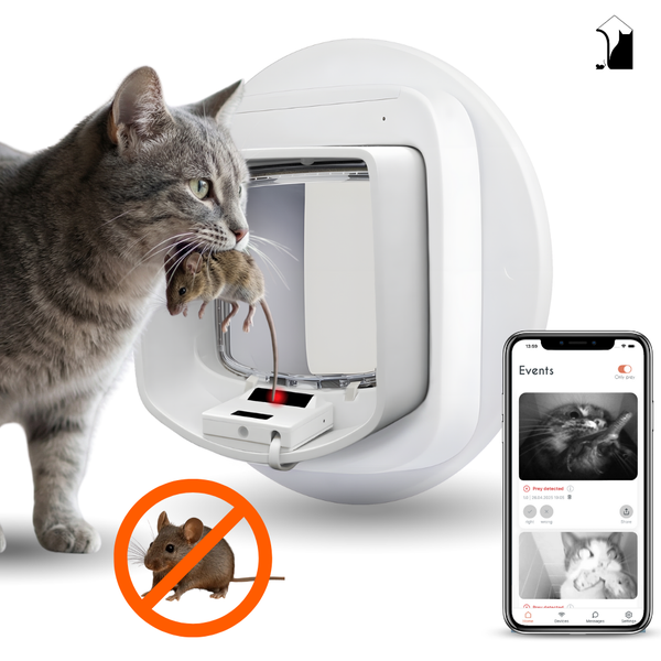 Katze mit Beute vor einer automatischen Katzenklappe mit Smartphone-App