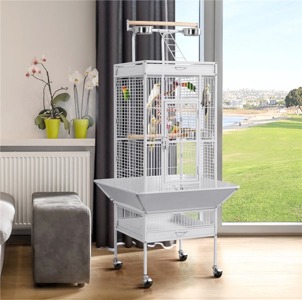 Vogelkäfig mit mehreren Vögeln in einem hellen Raum