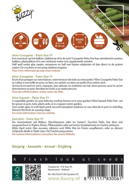 Mini Zucchini Patio Star F1 Produktverpackung
