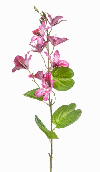 Künstliche Orchidee in Rosa mit grünen Stielen und geschlossenen Blütenknospen.