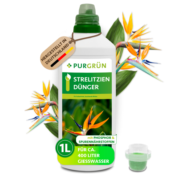 Purgrün Strelitzien Dünger in einer 1 Liter Flasche mit Phosphor und Spurennährstoffen für kräftige Blüten.
