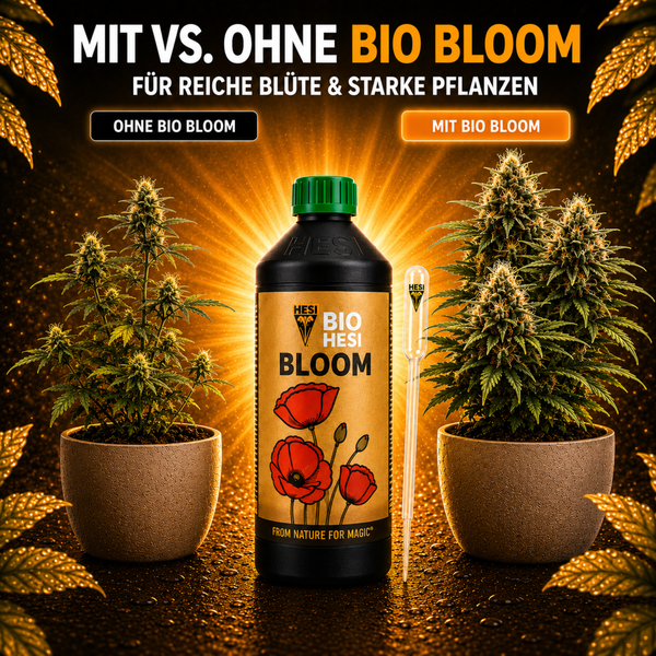 Hesi Bio Bloom Düngerflasche mit Pipette, Vergleichsdarstellung einer Pflanze ohne und mit Düngeranwendung für reiche Blüte und starke Pflanzen.