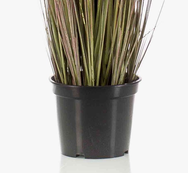 Künstliches Pampasgras mit cremefarbenen Wedeln in einem schwarzen Kunststofftopf.