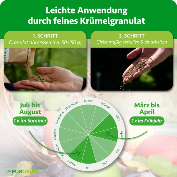 Purgrün Logo. Anleitung für Granulat: Abmessen von circa 50 bis 150 Gramm, gleichmäßiges Verteilen. Anwendung im März bis April und Juli bis August.