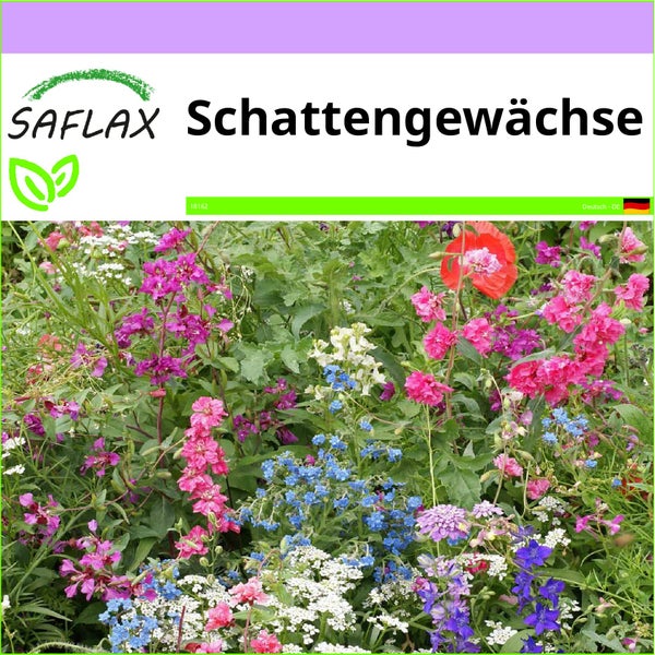 SAFLAX  - Schattengewächse - Mix - 1000 Samen