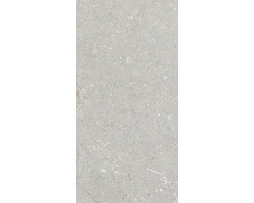 Wand- und Bodenfliese Shellstone bianco 30x60cm