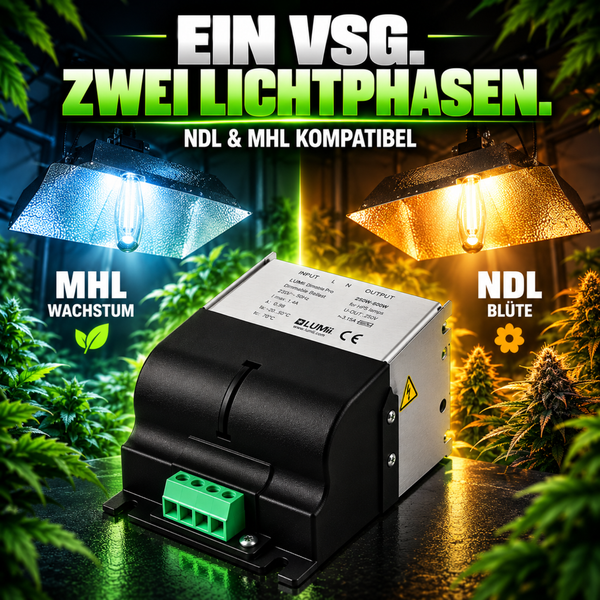 Gabionenkorb aus Metall