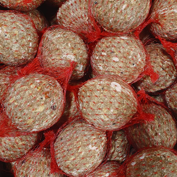 Fettfutterknödel für Vögel im Netz