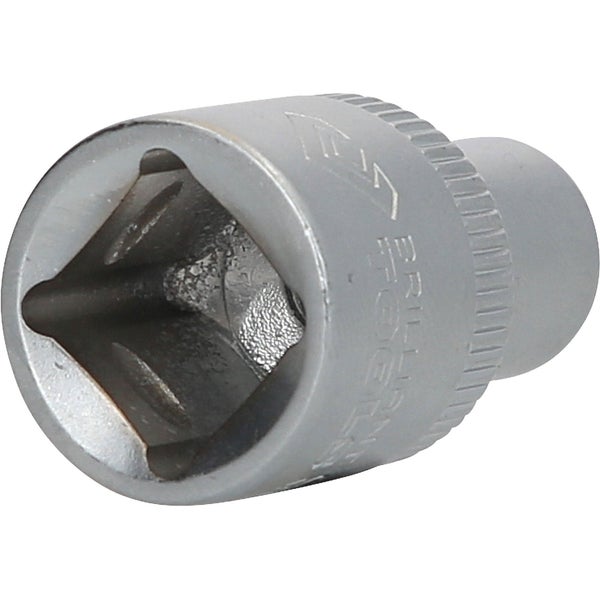 Steckschlüssel-Einsatz