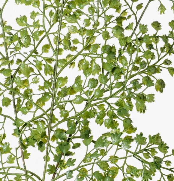 Künstlicher Zweig mit vielen kleinen, gezackten grünen Blättern.