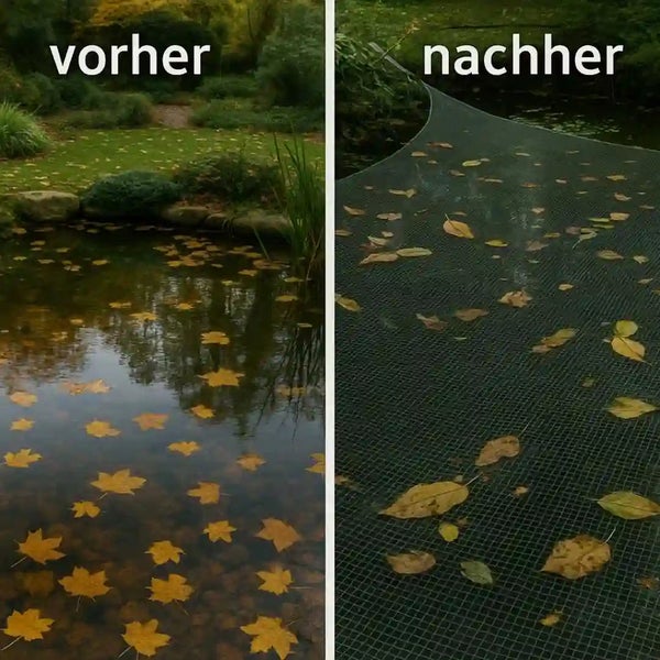 Vorher und Nachher Vergleich eines Gartenteichs mit und ohne Teichnetz zum Auffangen von Herbstlaub.