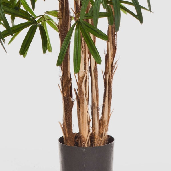 Künstliche Steckenpalme mit mehreren faserigen Stämmen und grünen Blättern in einem schwarzen Topf.