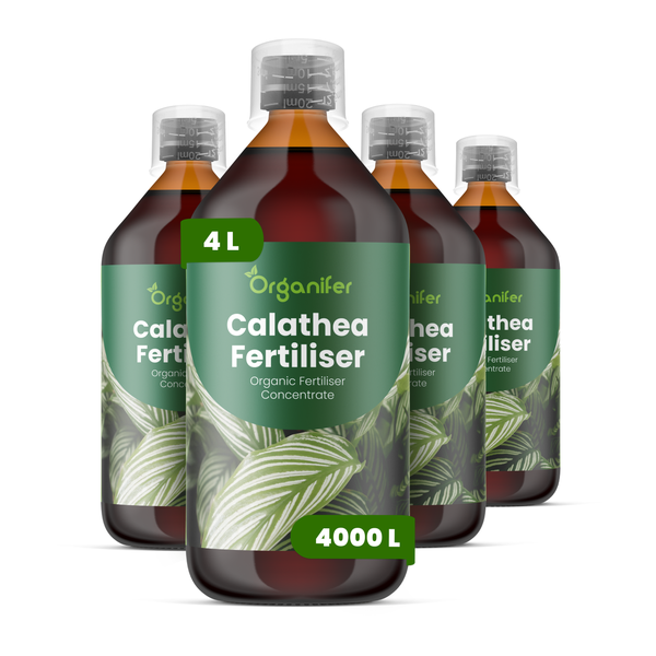 Vier Flaschen Organifer Calathea Dünger, organisches Flüssigdünger-Konzentrat für Zimmerpflanzen.