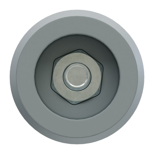 Detailansicht einer Schraube in einer runden Fassung