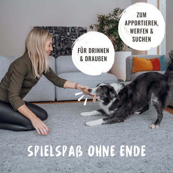 Frau spielt mit Hund und einem Hundespielzeug im Wohnzimmer.
